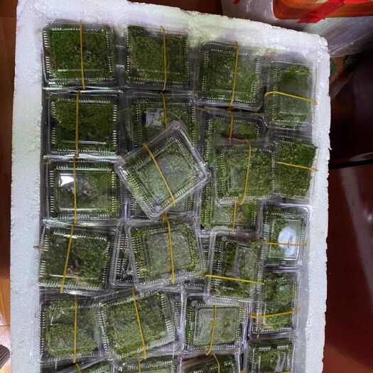 天柱县盒装小白发，规格是11×8的盒子，双层单层都可做