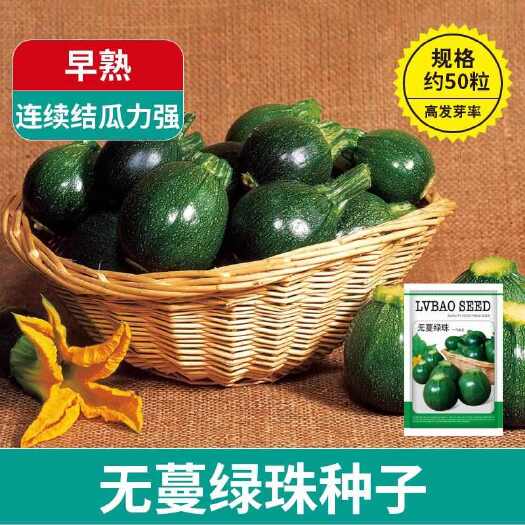 河间市无蔓绿珠圆西葫芦种子四季农田菜园杂交早熟脆嫩鲜香圆西葫芦种子