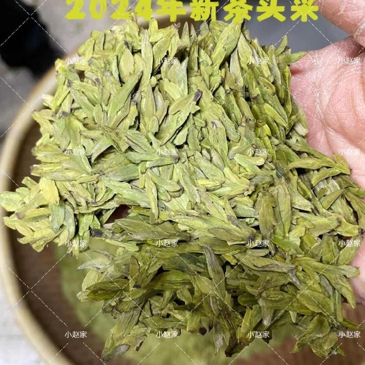 新昌县2024年新茶明前头采乌一芽一叶浙江龙井高山茶叶茶农直销