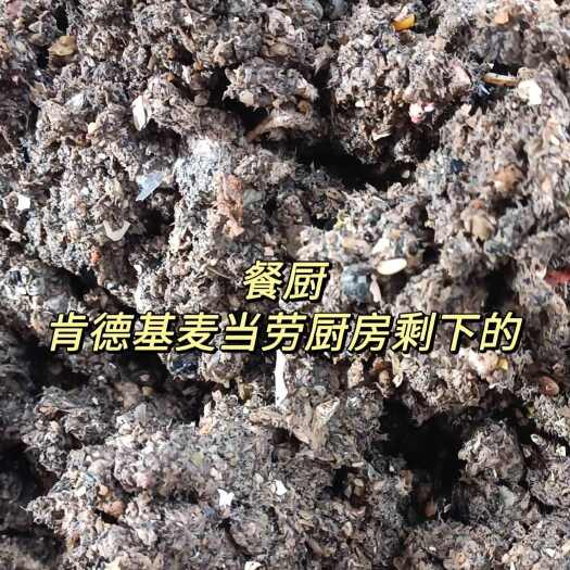 东莞市餐厨，肯德基，麦当劳厨房剩下的。养鱼养鸡最合适。