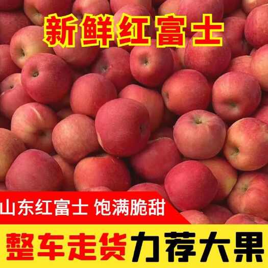 莒县苹果 山东红富士 全年有货 专业仓储 口感新鲜