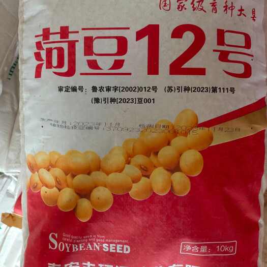 郑州厂家直发：荷豆12黄豆种子优质黄豆种子