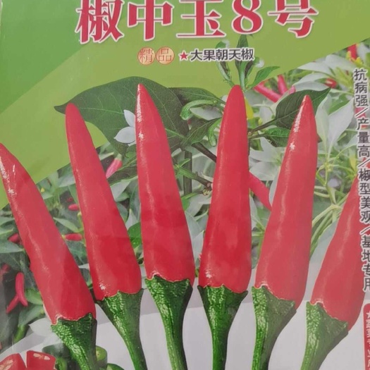 兴仁市销售朝天椒种子，苗