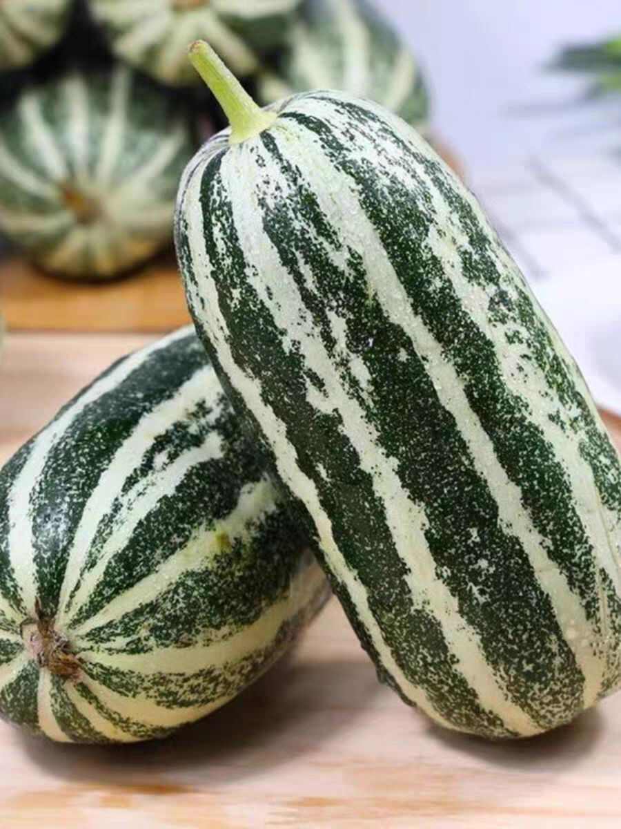 山东聊城博洋9号甜瓜产地直发新鲜采摘可支持一件