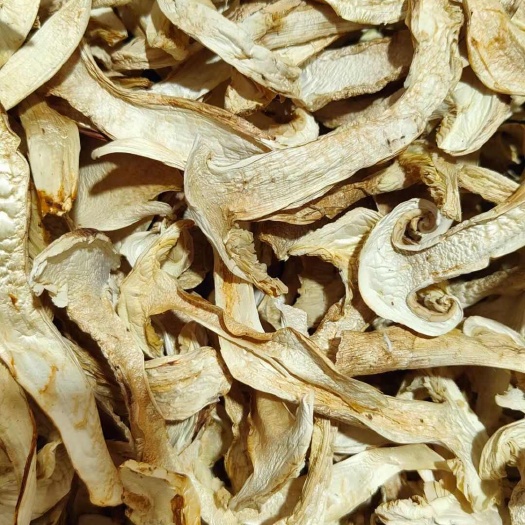 松茸干貨_香格里拉松茸