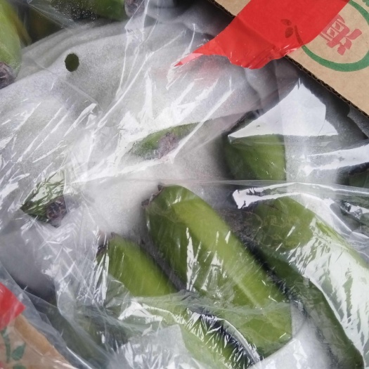 平阴县云南香蕉产地直供