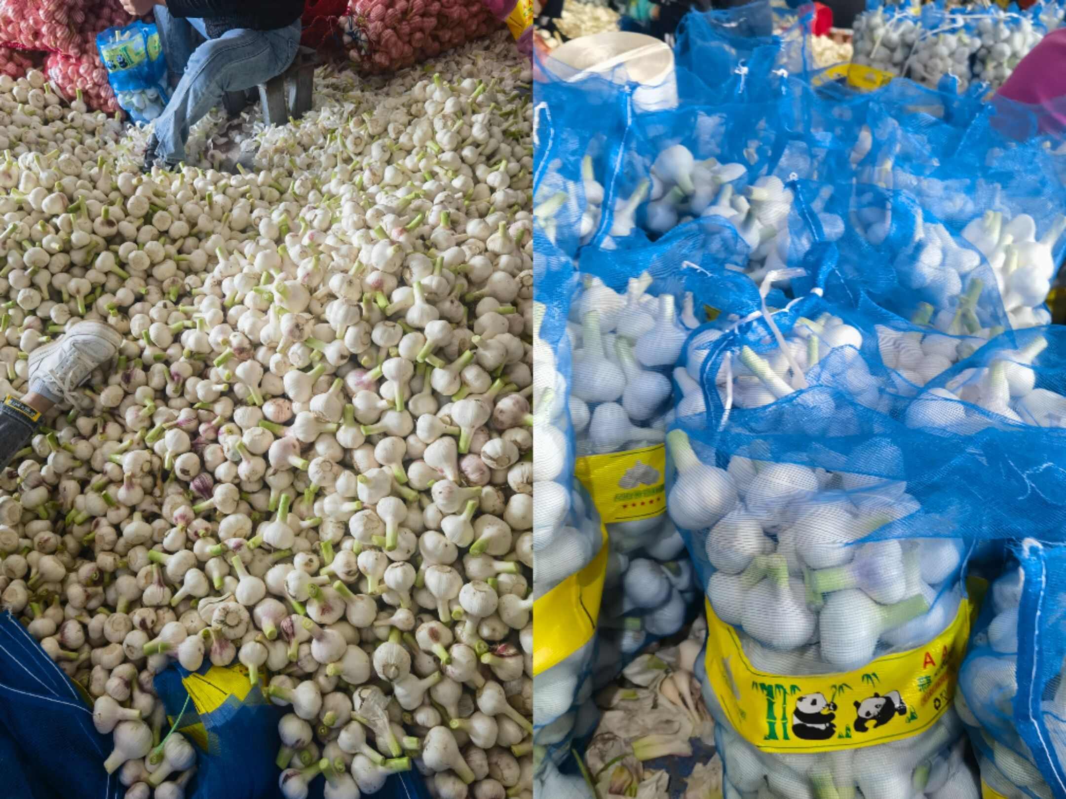 淮阳 精品扒皮蒜 带苗蒜 原皮鲜蒜 大量供应，多规格多种质量