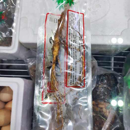  人参