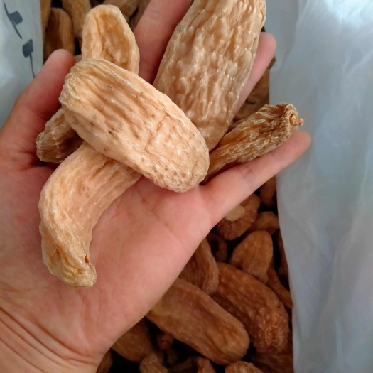 抚松县东北长白山林下天麻批发，一手货源