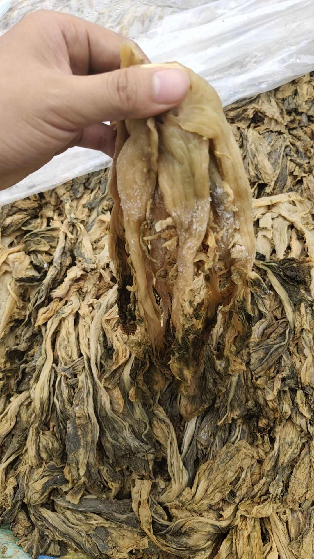惠州矮陂梅菜
