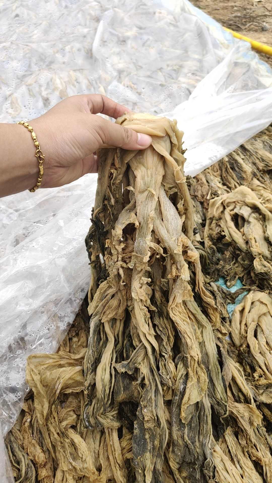 惠州矮陂梅菜
