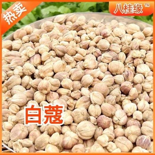 白蔻优质全干白豆蔻白扣白蔻仁火锅炒菜调料卤料香料批发大全
