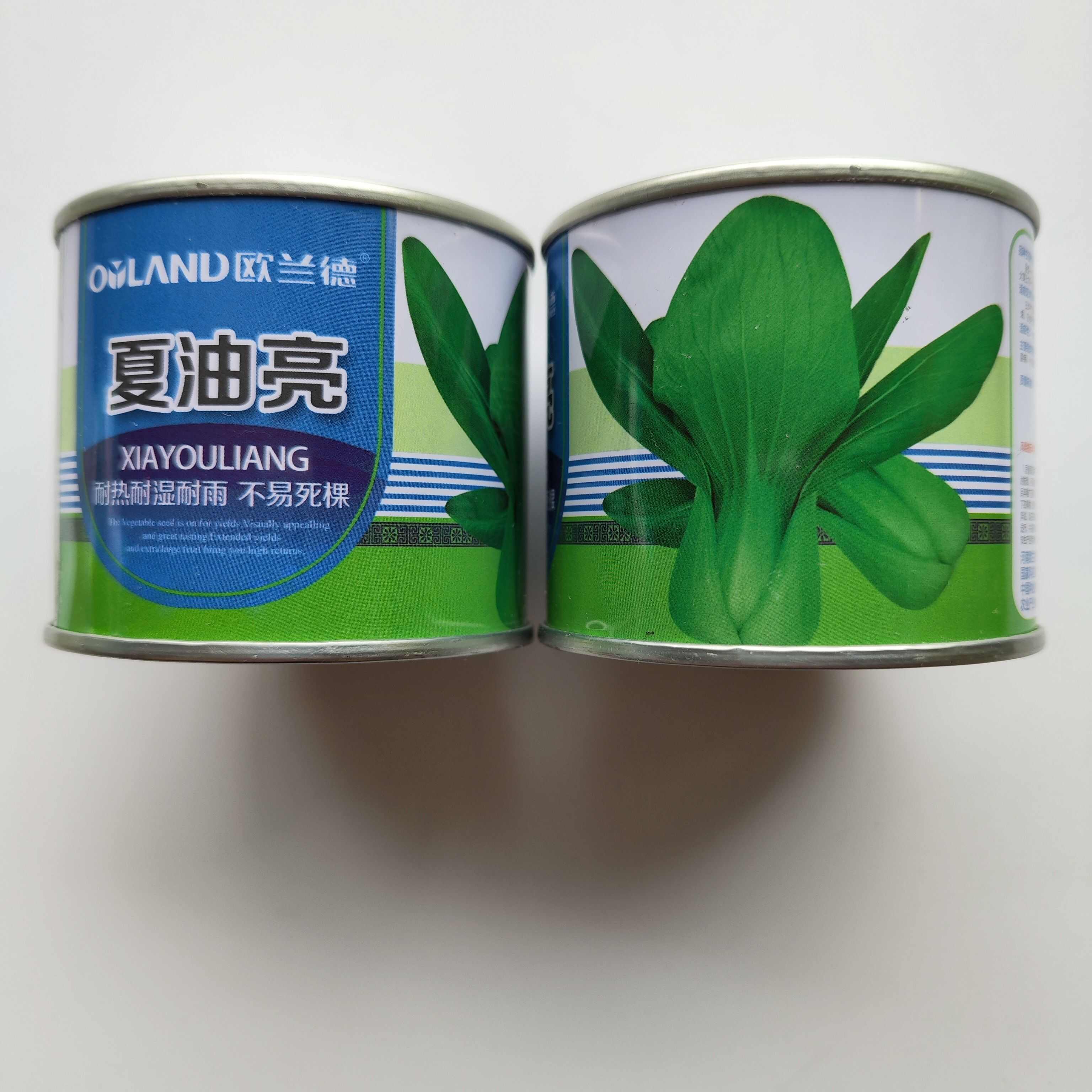 德高夏龙7号小白菜种子青梗菜抗病抗热耐寒耐雨四季播小青菜种籽