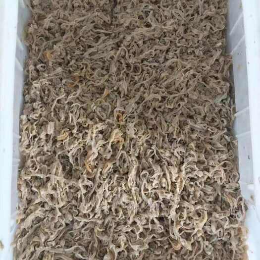 昌黎县港湾贝边食品级整条