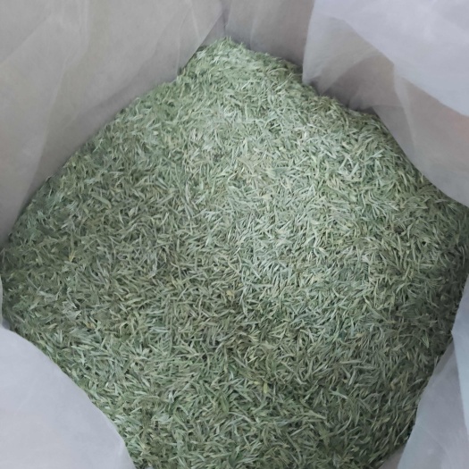 池州石台仙寓山春硒明前茶