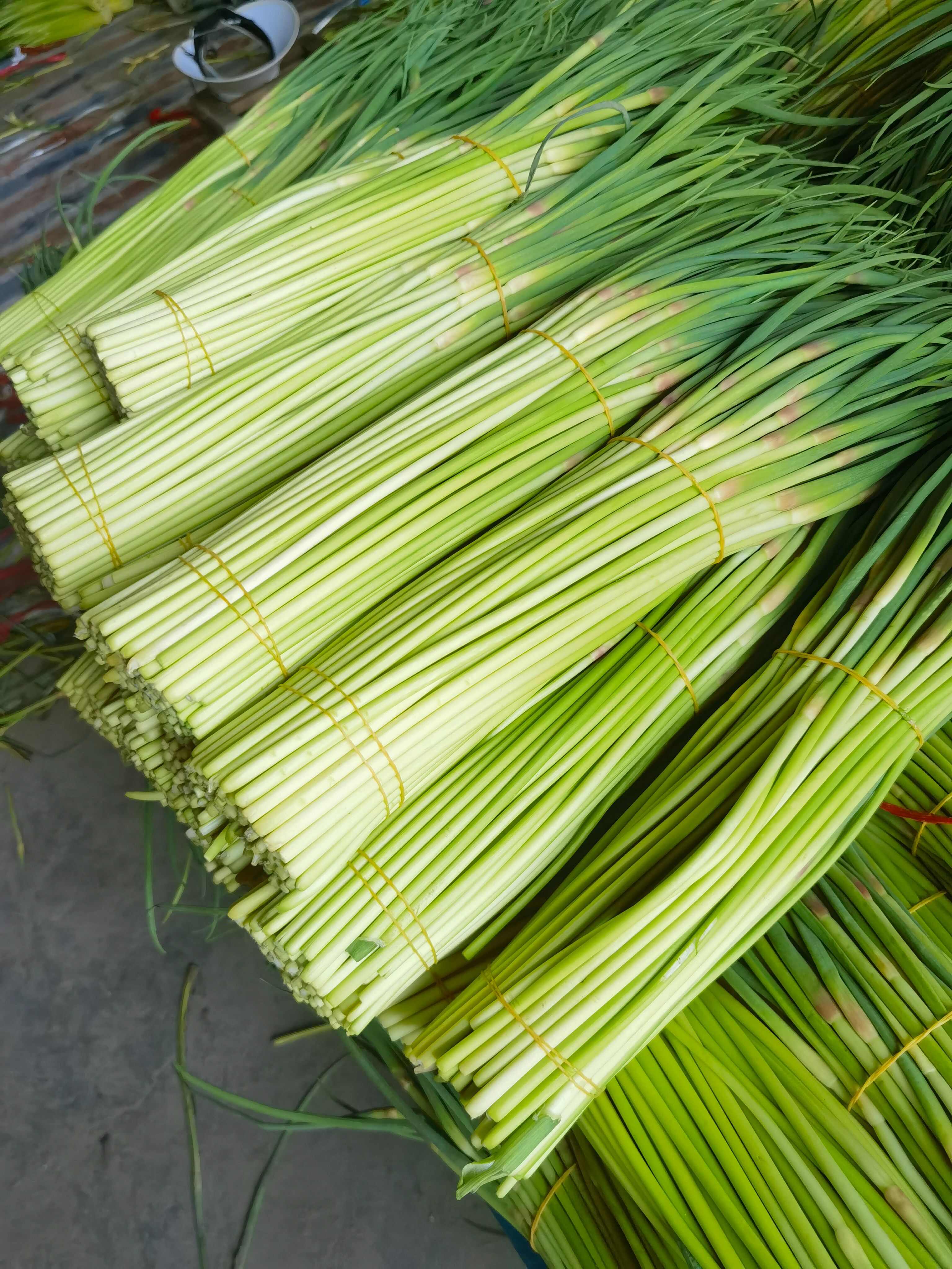 白帽蒜苔，紅帽蒜薹，長苔，短苔都已經(jīng)大量上市了，大量供應(yīng)中。