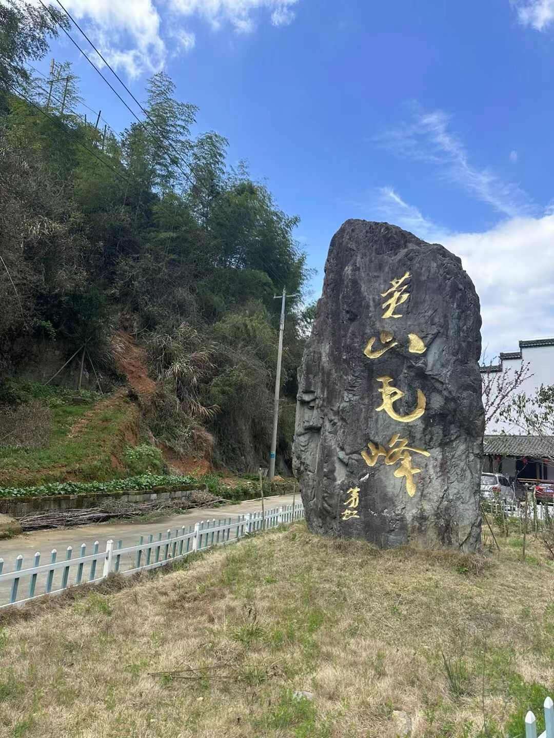 2024新茶富溪漕溪雨前一级古法黄山毛峰茶叶口粮绿茶半斤双罐