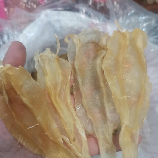 广州南美原装小北海黄花胶胶，公母混合，原装无漂白，厚肉胶质好