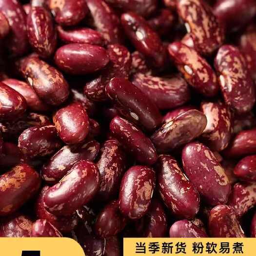 临沂2023年东北特产花芸豆玉米碴干货新鲜豆类杂粮扁豆紫云豆饭豆