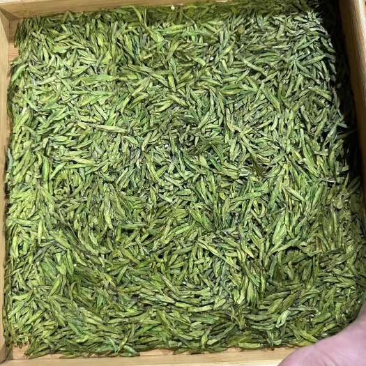 达州龙井43