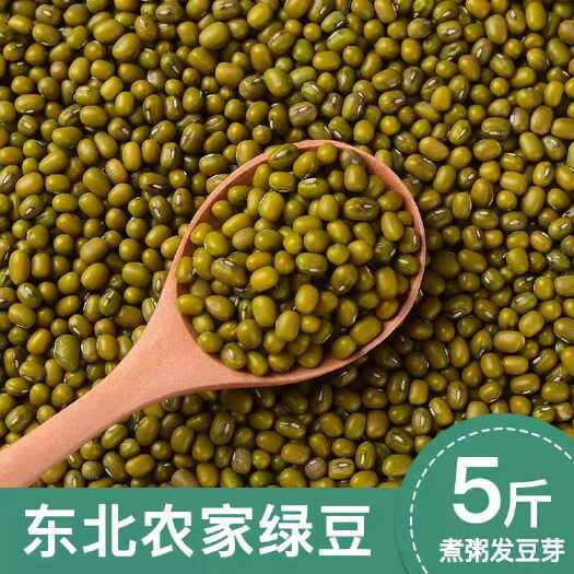 临沂2023年新东北绿豆专用煮粥解暑农家自种小绿豆5斤