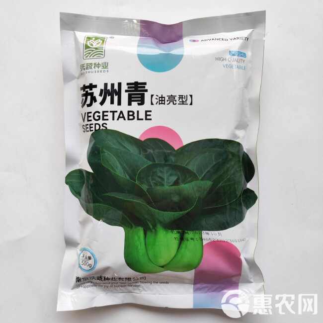 苏州青小白菜种子青梗菜抗病抗热耐寒耐雨四季播种盆栽小青菜种籽