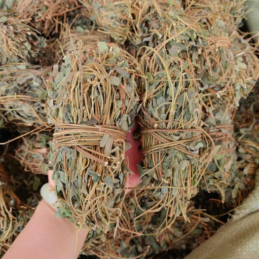 玉林鸡骨草新货