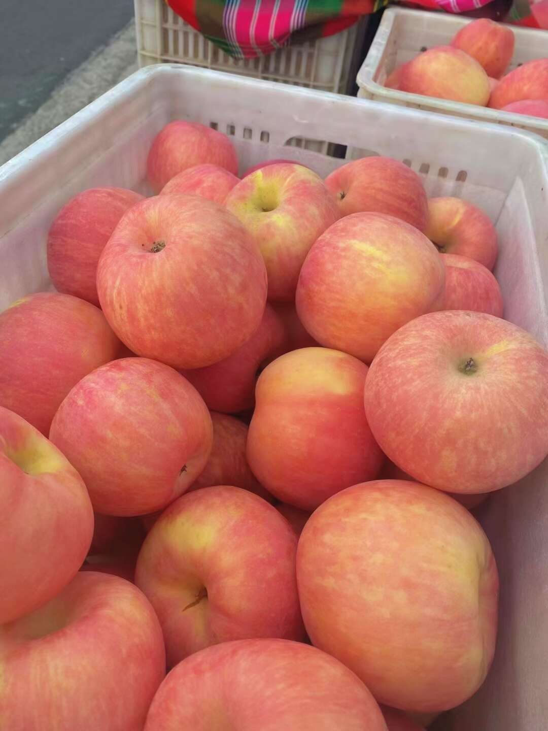 苹果