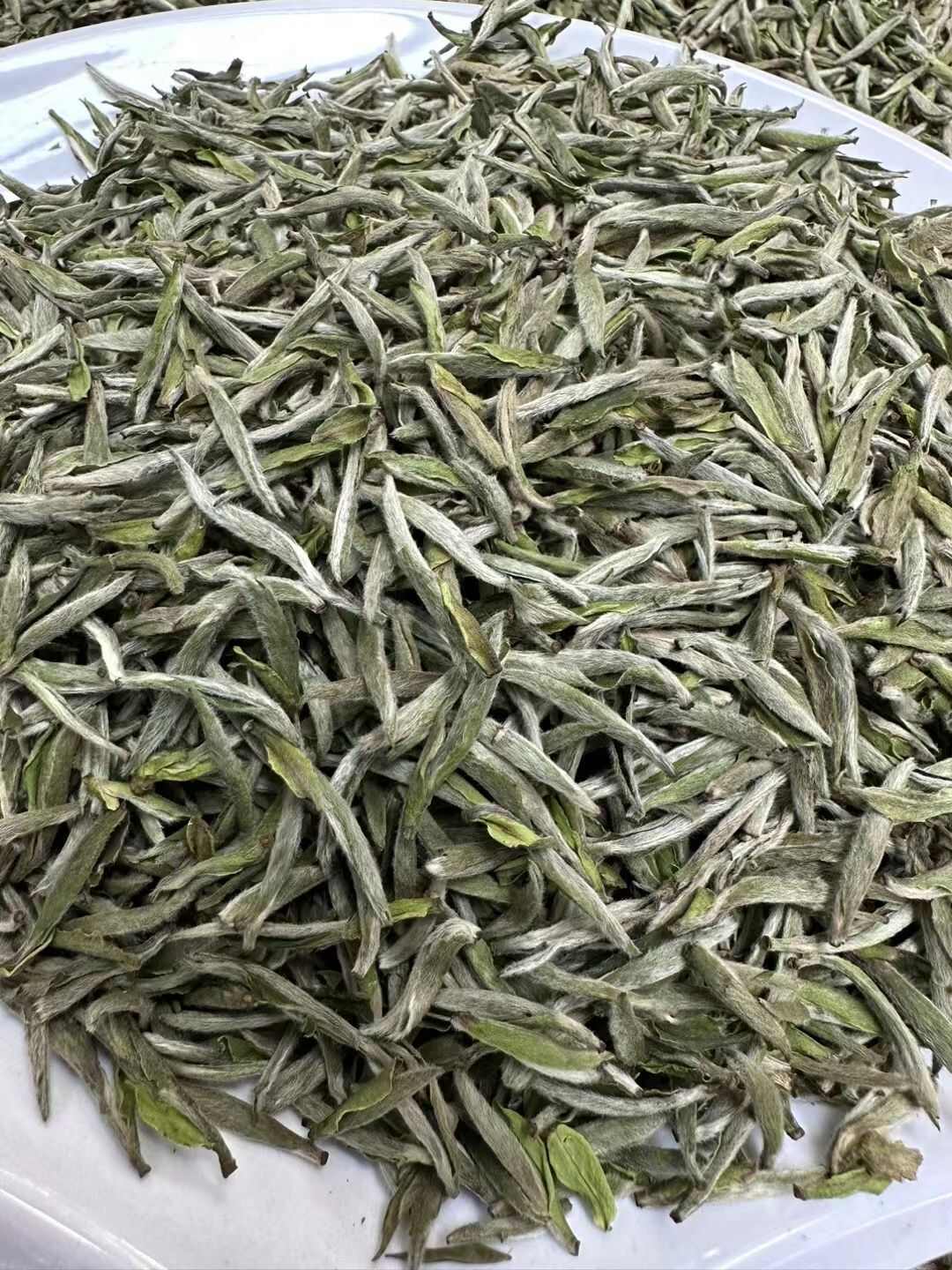 福鼎白毫银针2025年高山白毫银针毫香蜜韵香味醇