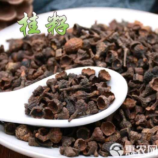 罗定市桂子 桂籽香料 桂子肉 香料批发 产地直销