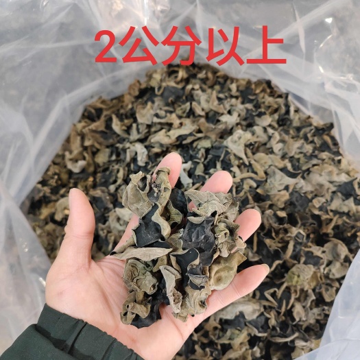 【净重】头茬新货仿野生黑木耳干货高泡发肉厚土特产干木耳