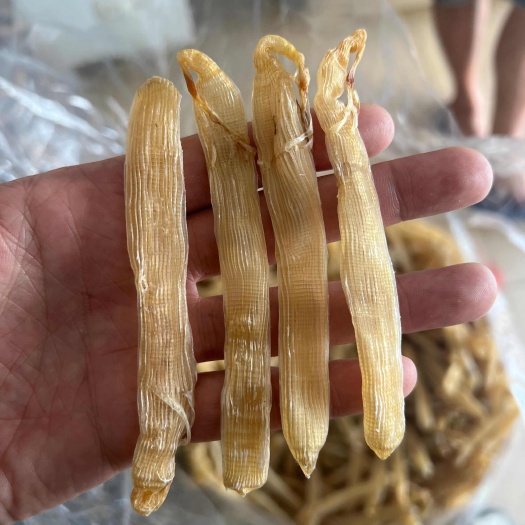 北海280头北海沙虫干特大沙虫干白沙虫海鲜干货批发