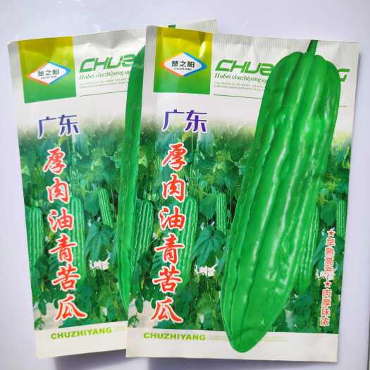 沭阳县苦瓜种子厚肉油绿青秀苦瓜 早中熟高产抗病耐热肉厚质脆苦瓜种