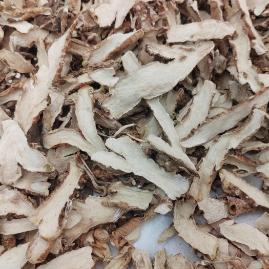 亳州知母片