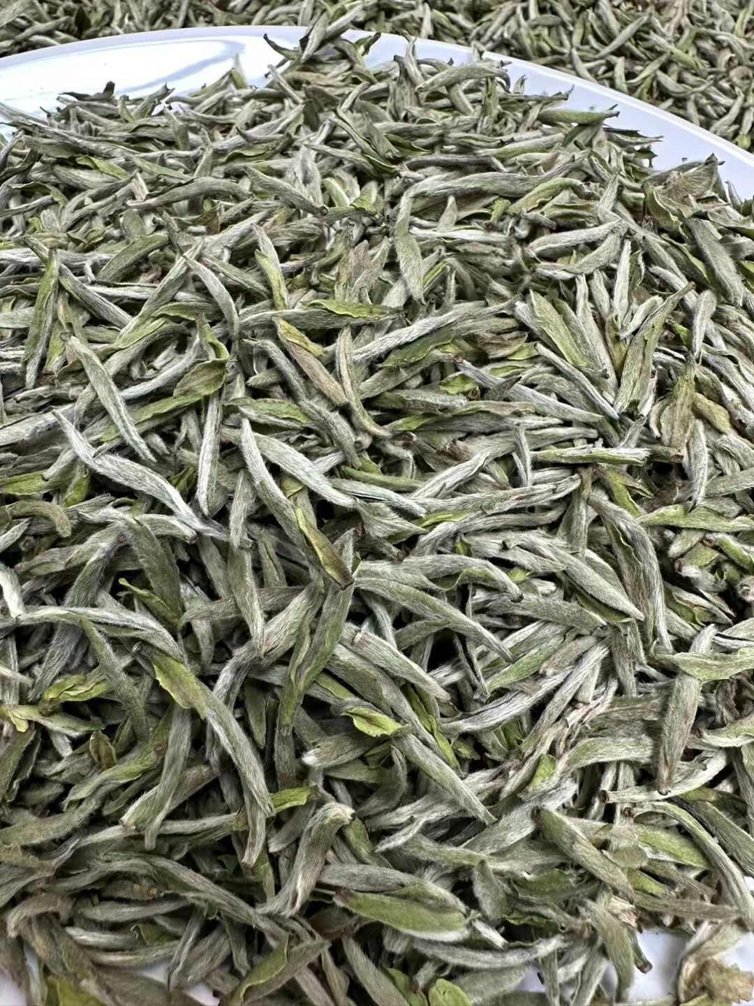 福鼎白毫银针2025年高山白毫银针毫香蜜韵香味醇