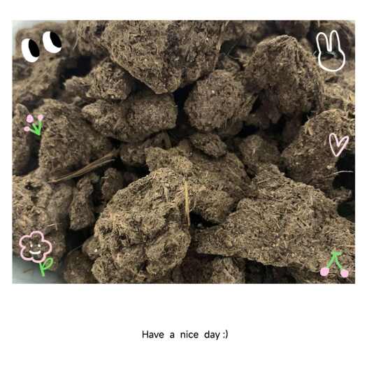 石家庄晒干牛粪块种植苗木可用改良土壤结块提高肥力