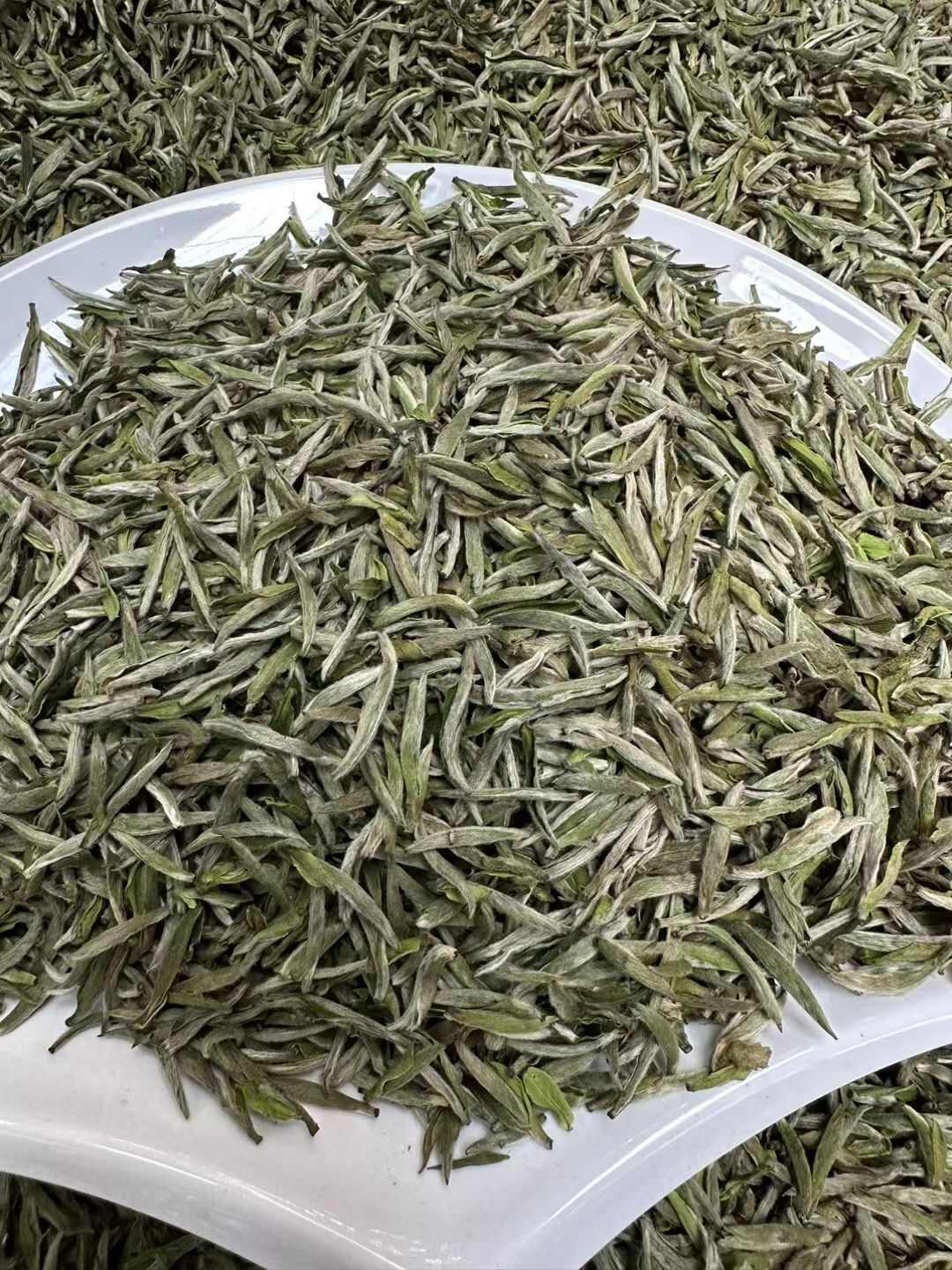 福鼎白毫银针2025年高山白毫银针毫香蜜韵香味醇