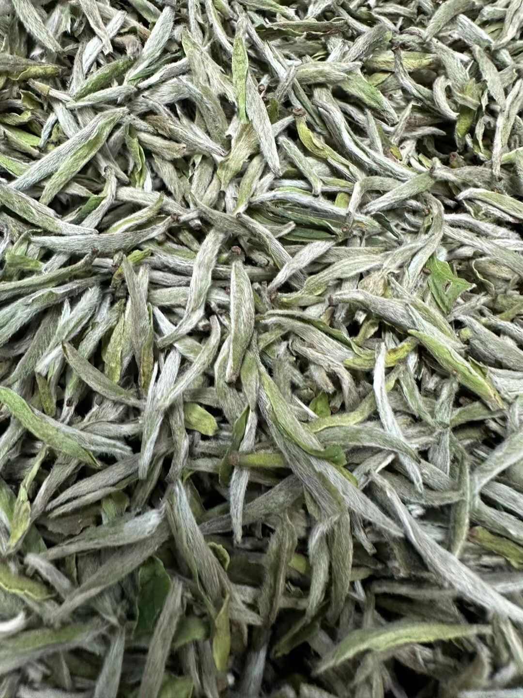 福鼎白毫银针2025年高山白毫银针毫香蜜韵香味醇