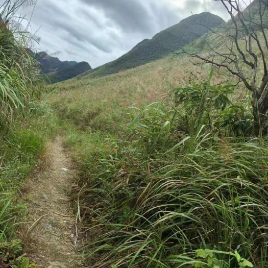 都安县荒地出租