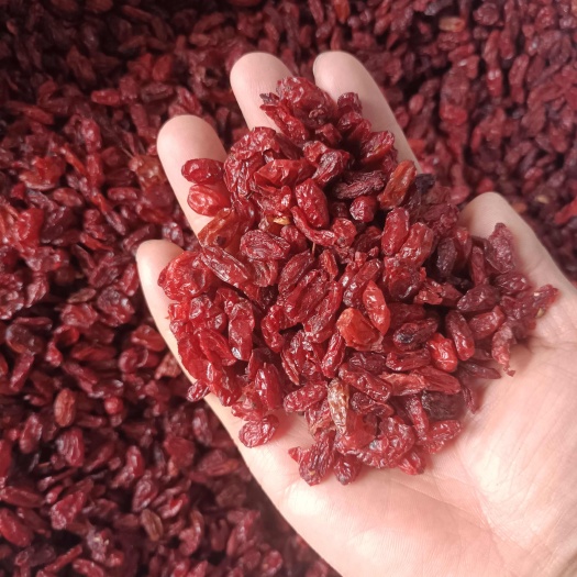 安国市山茱萸  山萸肉  河南  正品干货