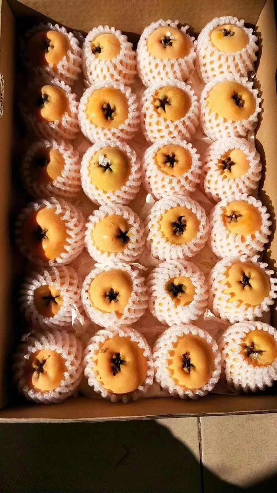 米易枇杷