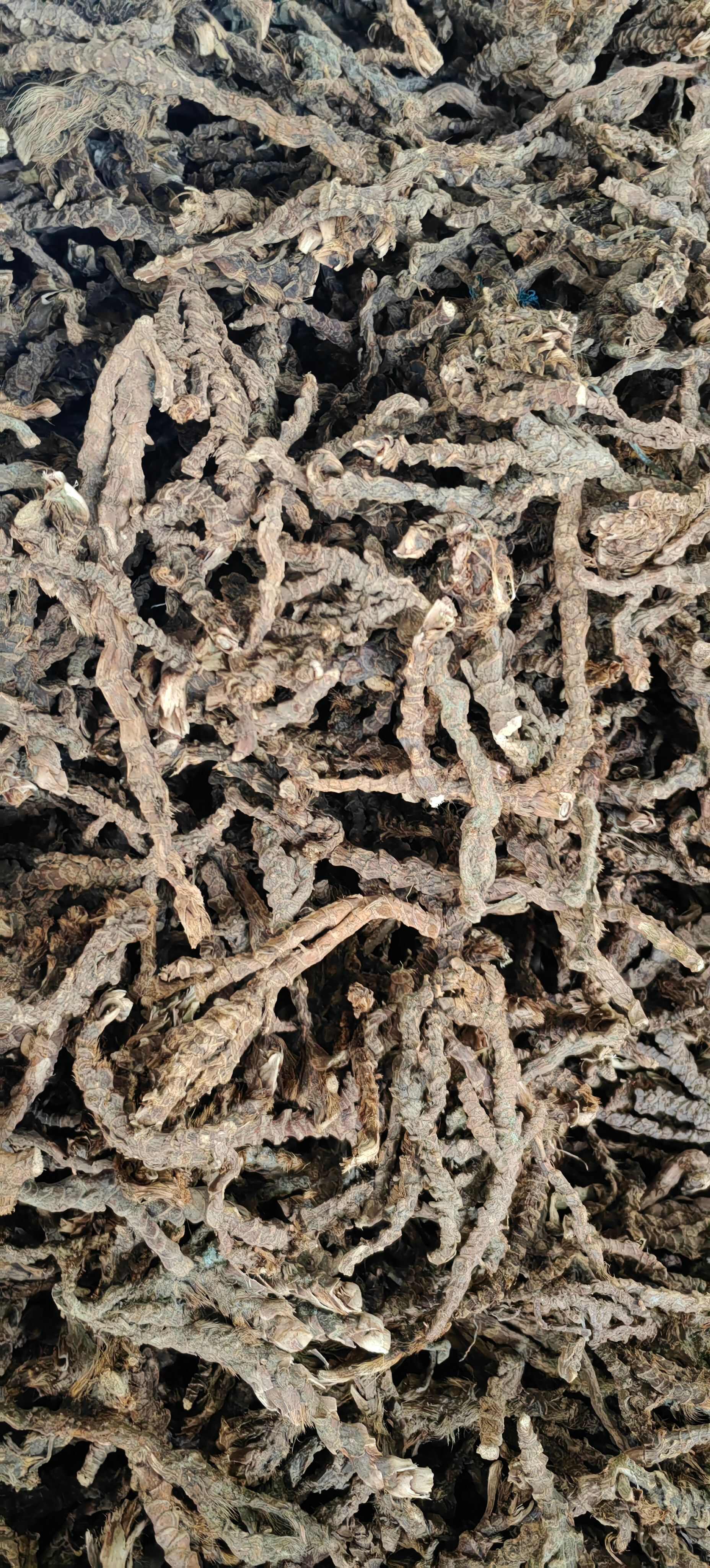 五香草 卤料 香料 山奈根 茴香菖蒲 产地大货 供应