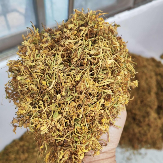 安龙金银花，大开花，无硫，颜色金黄，精选货，百分之七八十开花