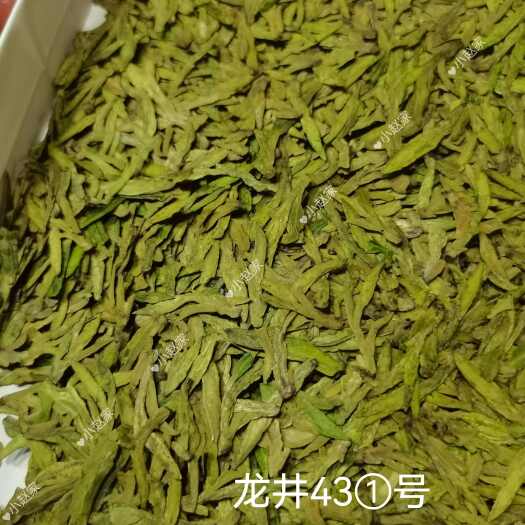 新昌县2024新茶春龙井茶绿茶明前龙井43号新昌大佛龙井茶叶头采