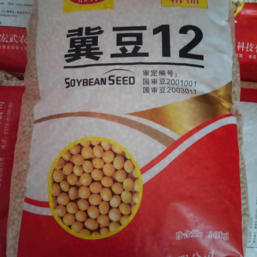 永清县冀豆12 中黄13