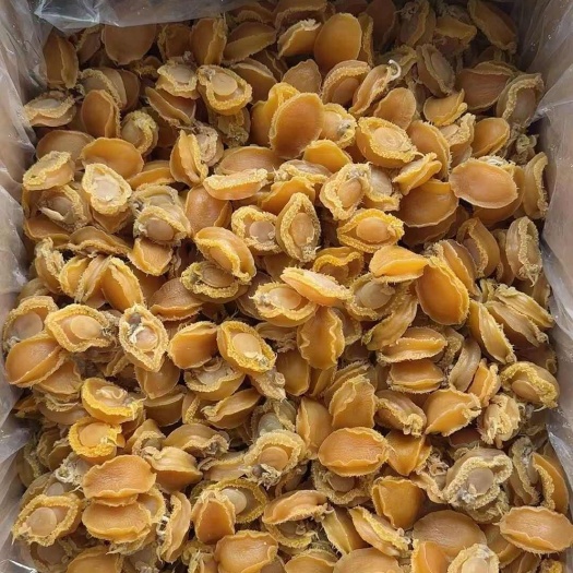  鲍鱼