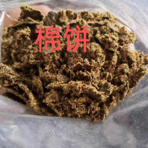 新疆棉籽，棉饼