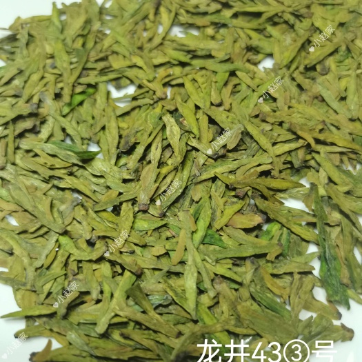 新昌县2024新茶春龙井茶绿茶明前龙井43号新昌大佛龙井茶叶