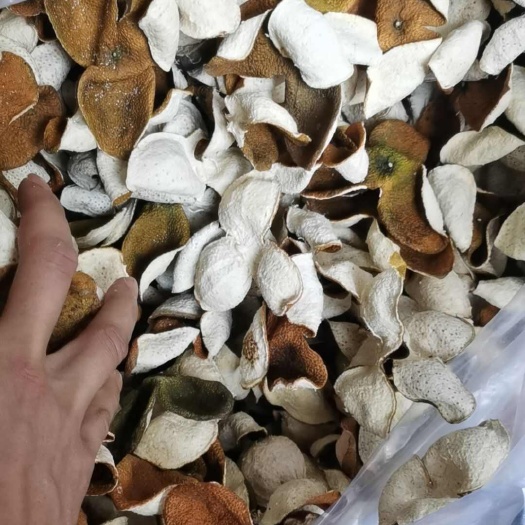 浦北县广西浦北二红陈皮