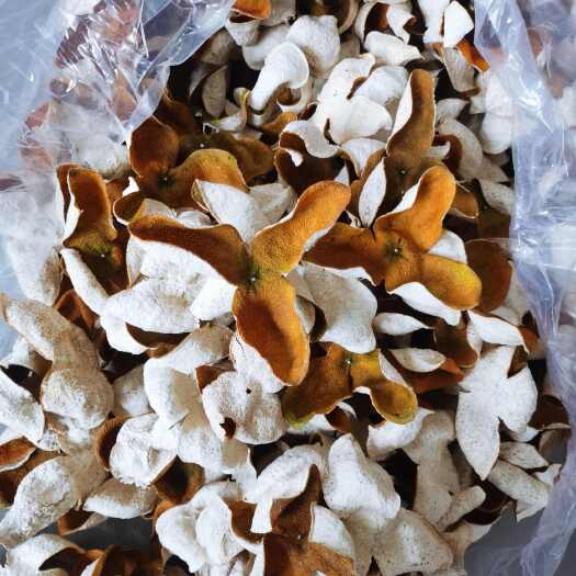 浦北县精品浦北大红皮